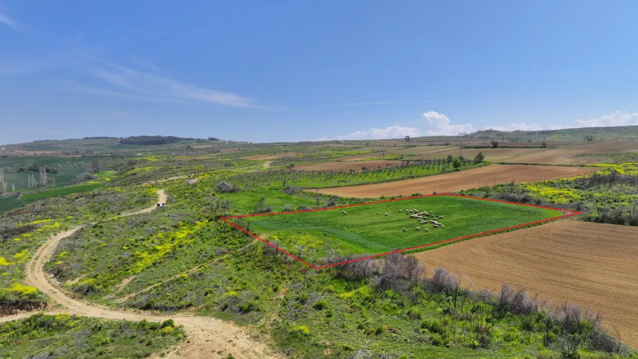 ÇANAKKALE GELİBOLU PAZARLI'DA DOĞA İLE İÇ İÇE 4,899m2 TARLA - görsel 15