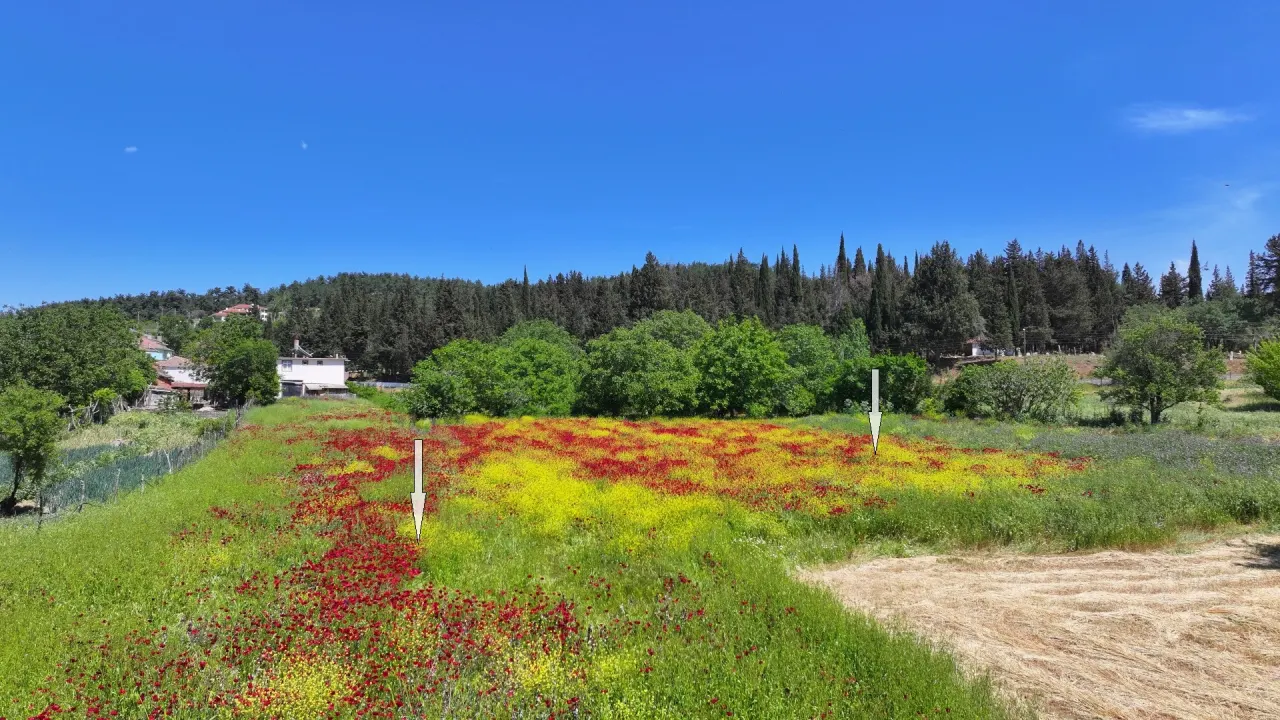 ÇANAKKALE GELİBOLU ILGARDERE'DE KÖY İÇERİSİNDE 5,140m2 TARLA - görsel 13