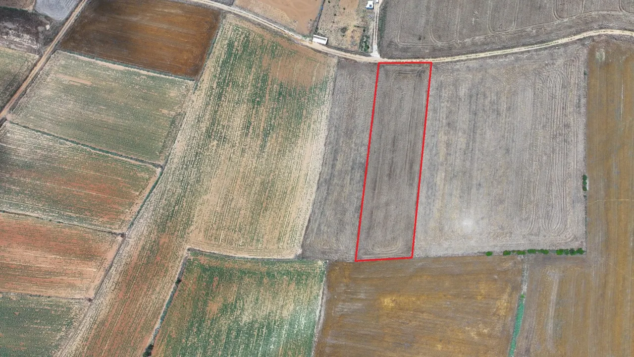ÇANAKKALE GELİBOLU KALEALTINDA DENİZ MANZARALI 3,800m2 TARLA - görsel 21