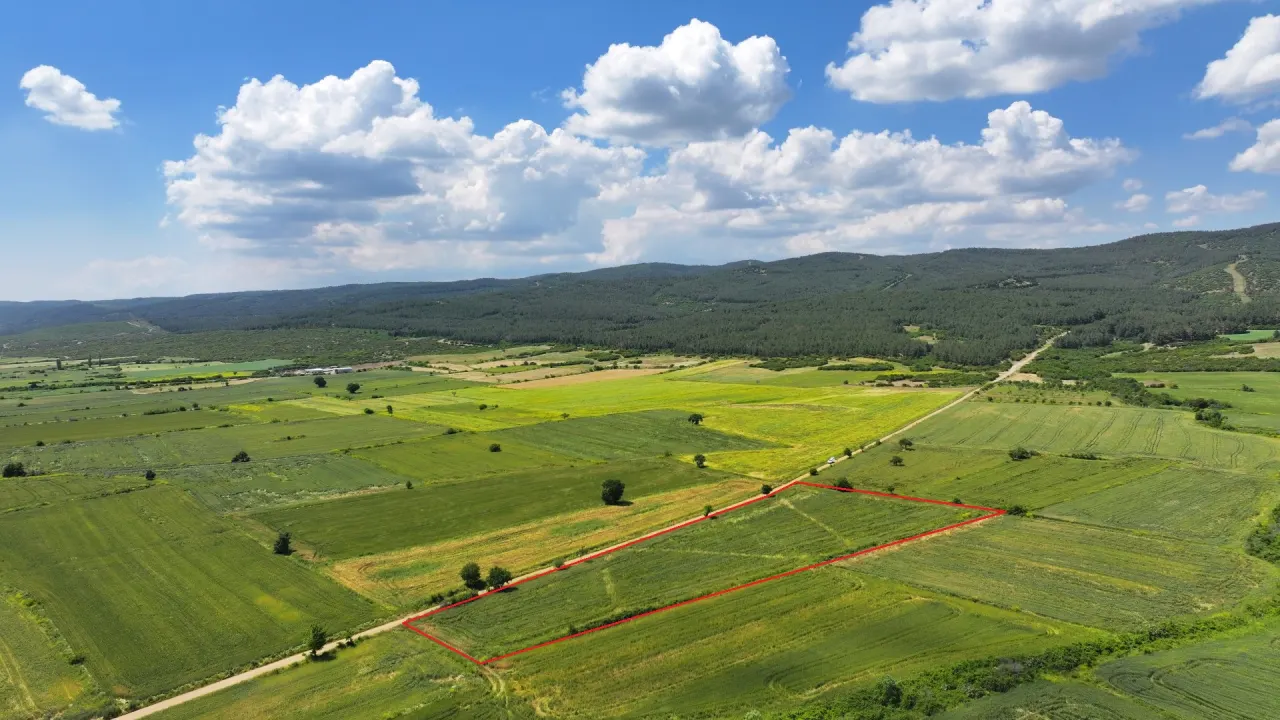 ÇANAKKALE GELİBOLU SÜLEYMANİYEDE MÜSTAKİL TAPULU 9,172m2 TARLA - görsel 5