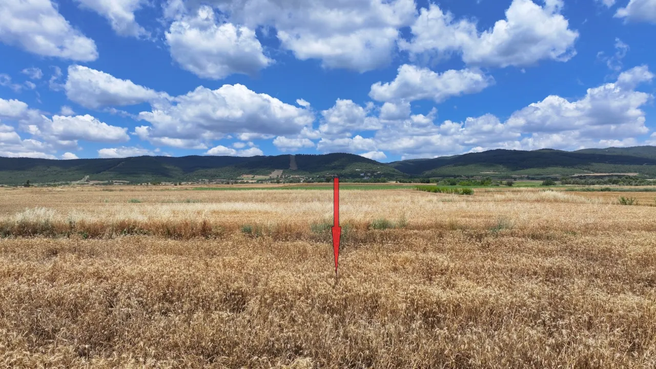 ÇANAKKALE GELİBOLU KALEALTINDA DENİZ MANZARALI 3,800m2 TARLA - görsel 15