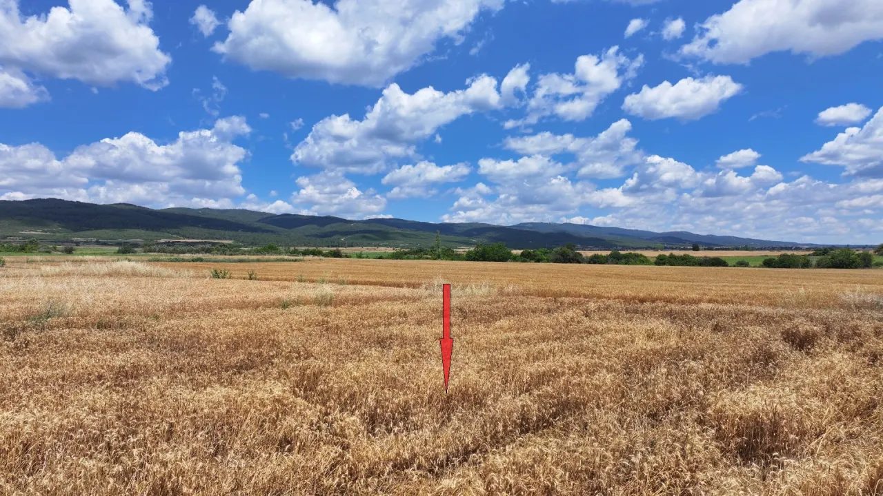 ÇANAKKALE GELİBOLU KALEALTINDA DENİZ MANZARALI 3,800m2 TARLA - görsel 16