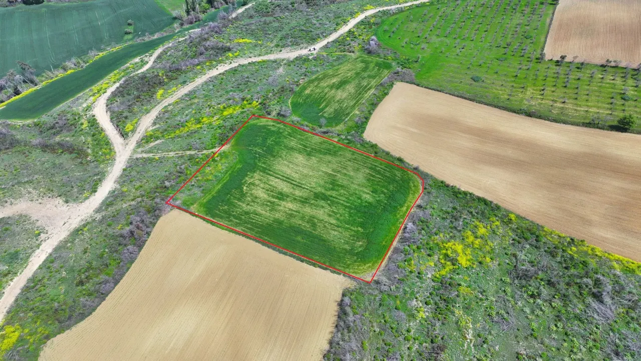 ÇANAKKALE GELİBOLU PAZARLI'DA DOĞA İLE İÇ İÇE 4,899m2 TARLA - görsel 8