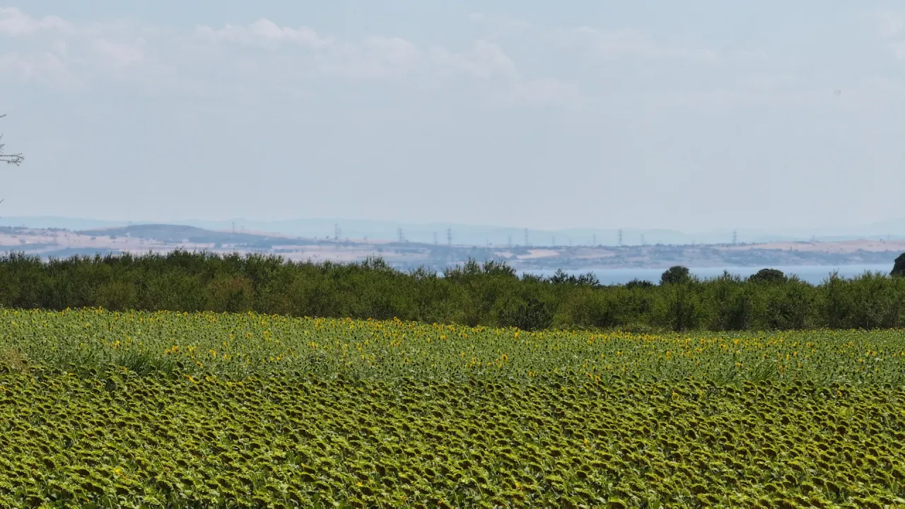 Çanakkale Gelibolu Şadıllı Köyünde Müstakil Tapulu 1,471m2 Tarla - görsel 13