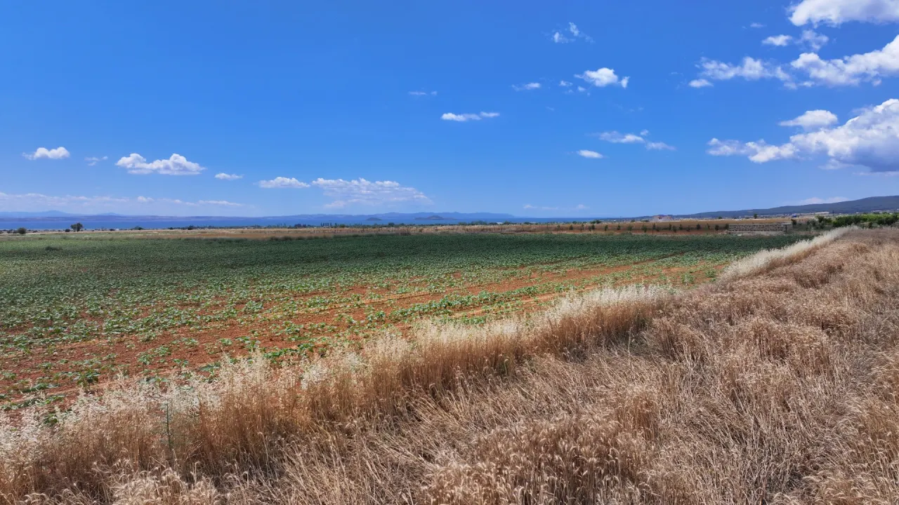 ÇANAKKALE GELİBOLU KALEALTINDA DENİZ MANZARALI 3,800m2 TARLA - görsel 20