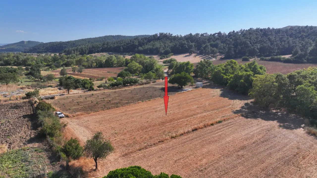 ÇANAKKALE GELİBOLU ILGARDERE'DE MÜSTAKİL TAPULU 3,975m2 TARLA - görsel 8