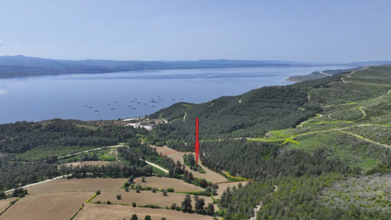 ÇANAKKALE GELİBOLU PAZARLIDA MÜSTAKİL TAPULU 6,517m2 TARLA - görsel 7