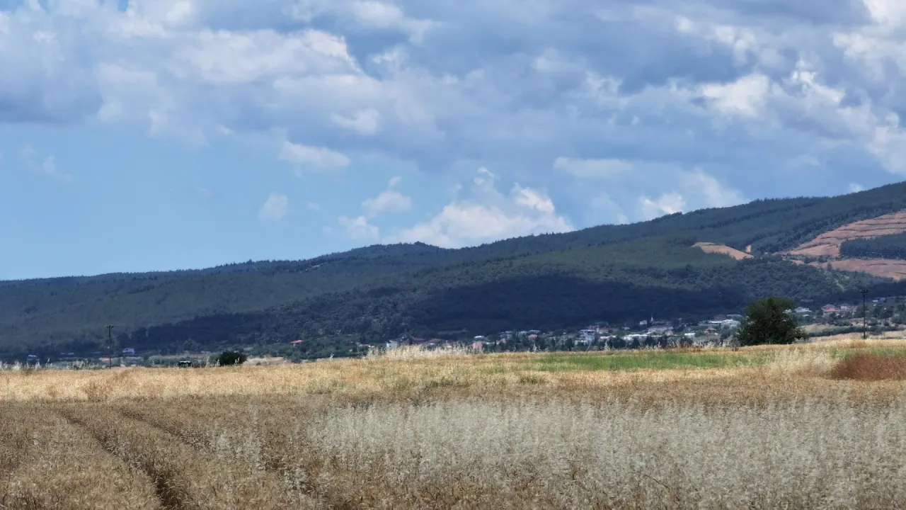 ÇANAKKALE GELİBOLU KALEALTINDA DENİZ MANZARALI 3,800m2 TARLA - görsel 28