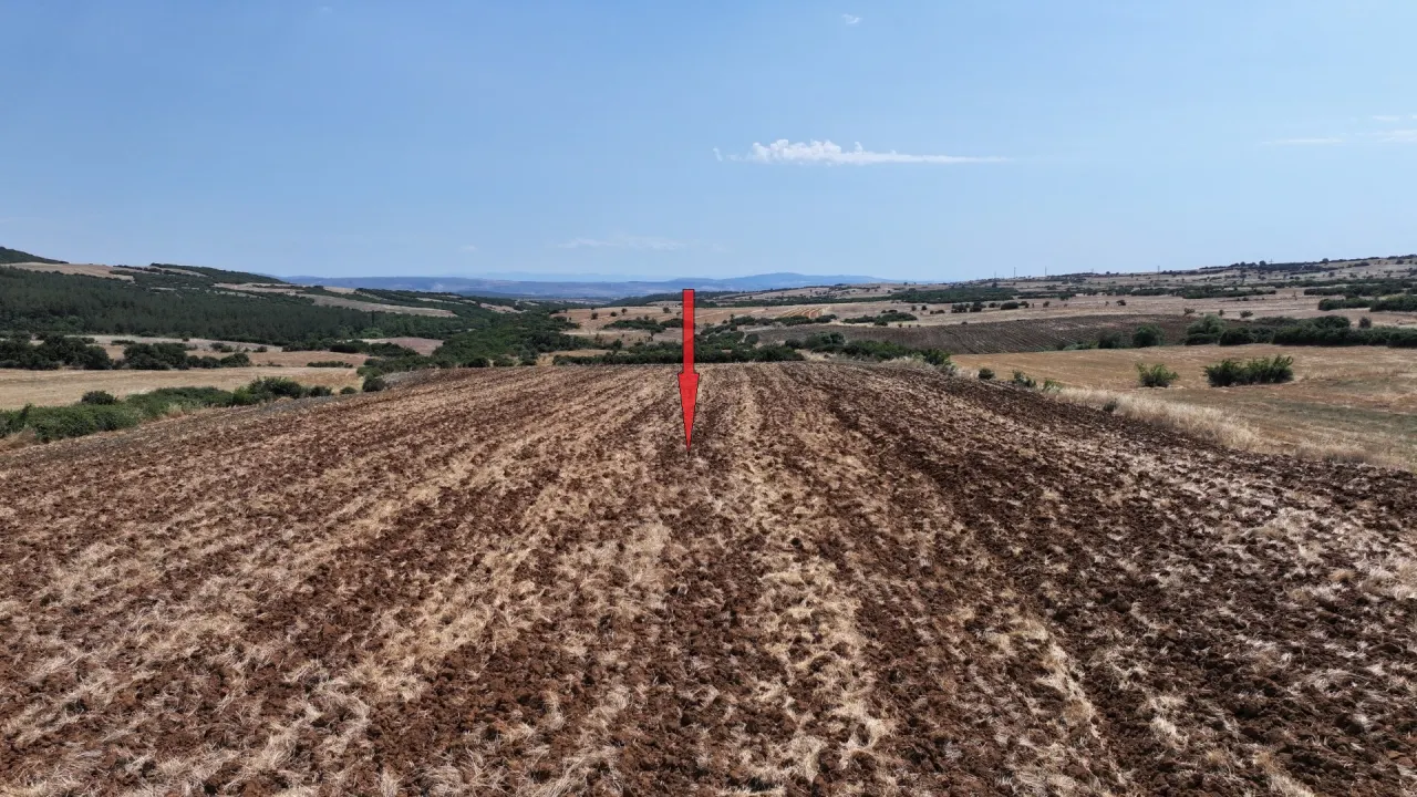 ÇANAKKALE GELİBOLU BAYRAMİÇ KÖYÜ'NDE 9,660 m² MÜSTAKİL TAPULU TARLA - görsel 6