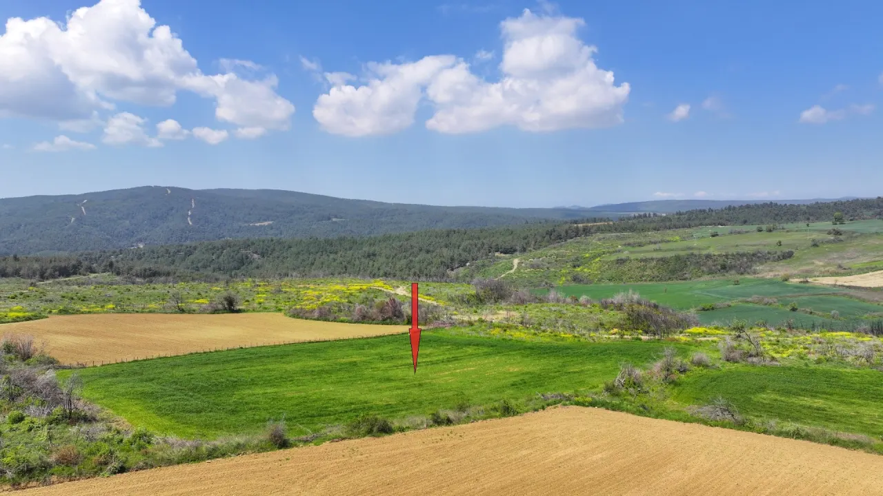 ÇANAKKALE GELİBOLU PAZARLI'DA DOĞA İLE İÇ İÇE 4,899m2 TARLA - görsel 9