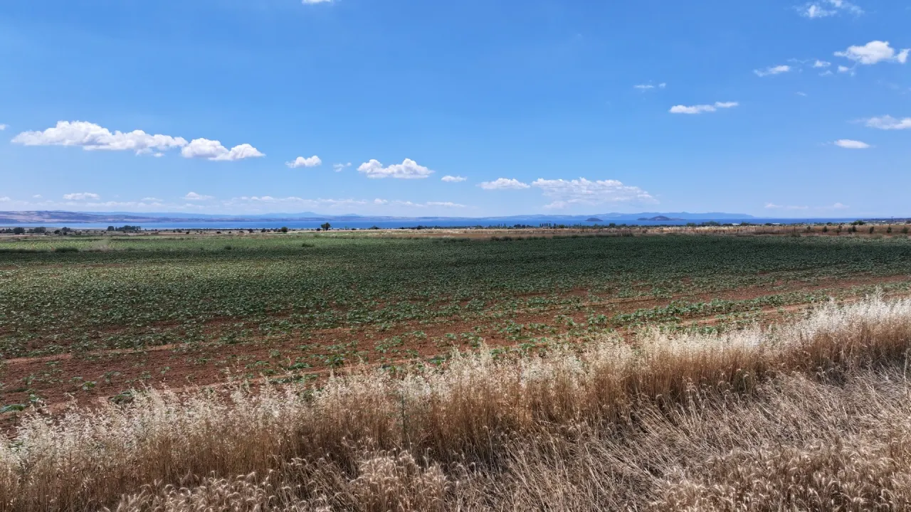 ÇANAKKALE GELİBOLU KALEALTINDA DENİZ MANZARALI 3,800m2 TARLA - görsel 19