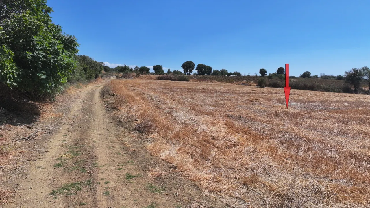 ÇANAKKALE GELİBOLU PAZARLIDA MÜSTAKİL TAPULU 6,493m2 TARLA - görsel 11