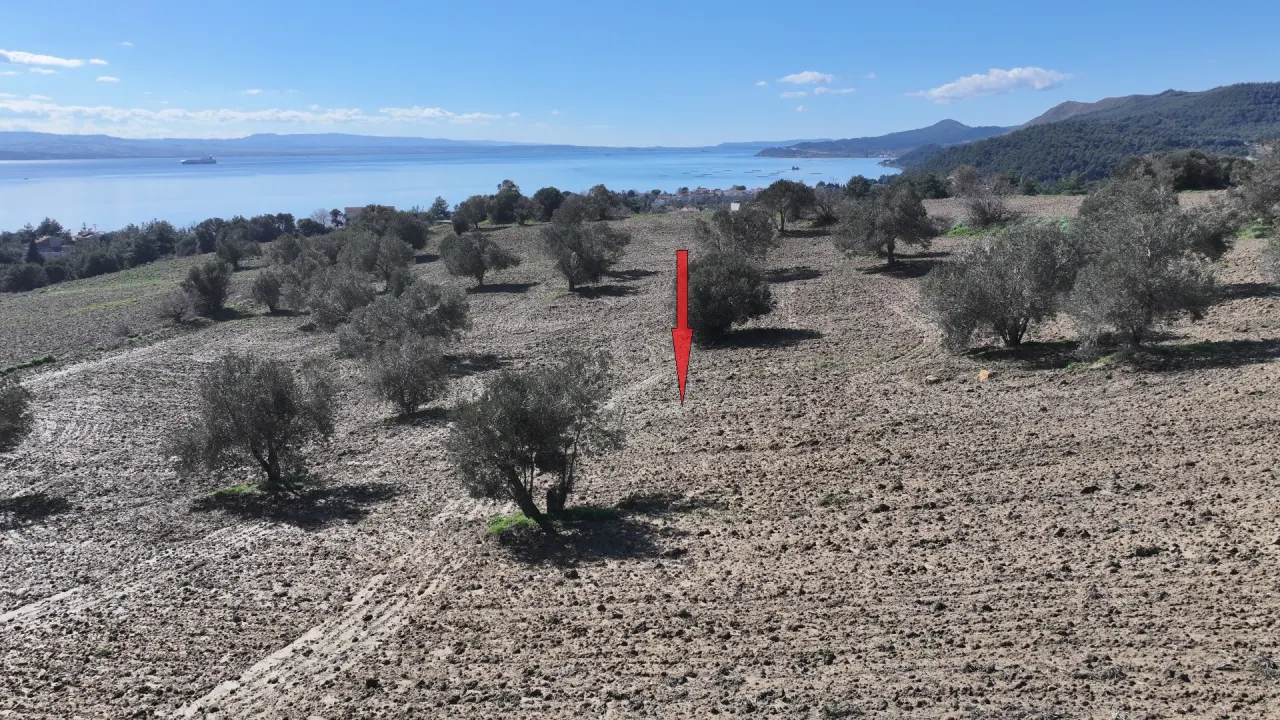 GELİBOLU BURHANLIDA DENİZ VE DOĞA MANZARALI 20,573m2 TARLA - görsel 6