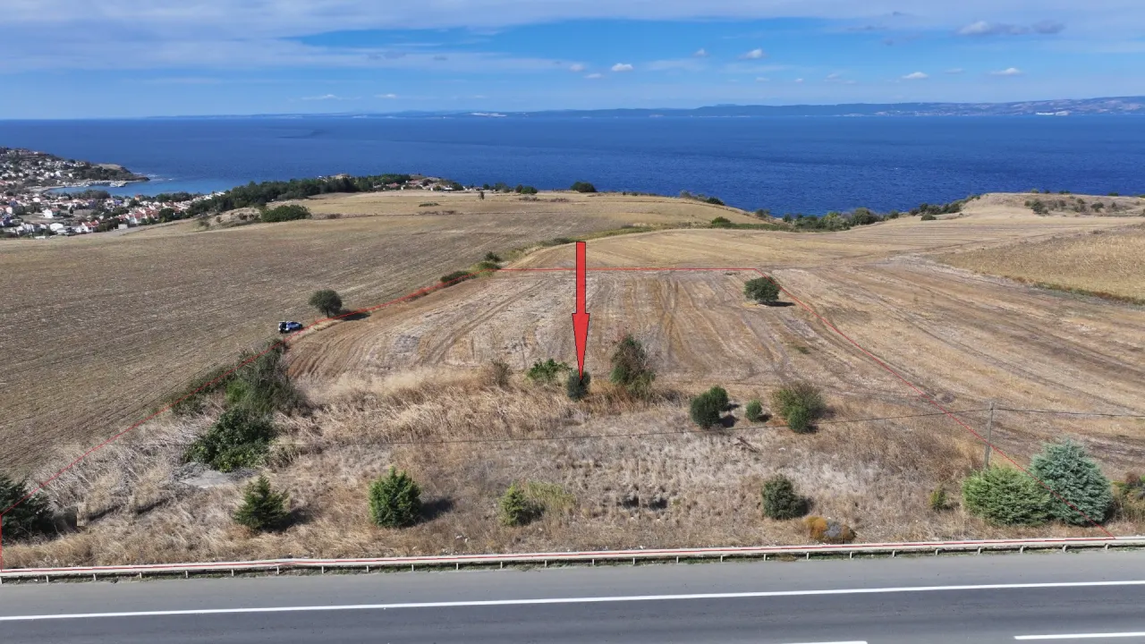 ÇANAKKALE GELİBOLU GÜNEYLİDE ANA YOLA CEPHE DENİZ MANZARALI 9,213m2 TARLA - görsel 14