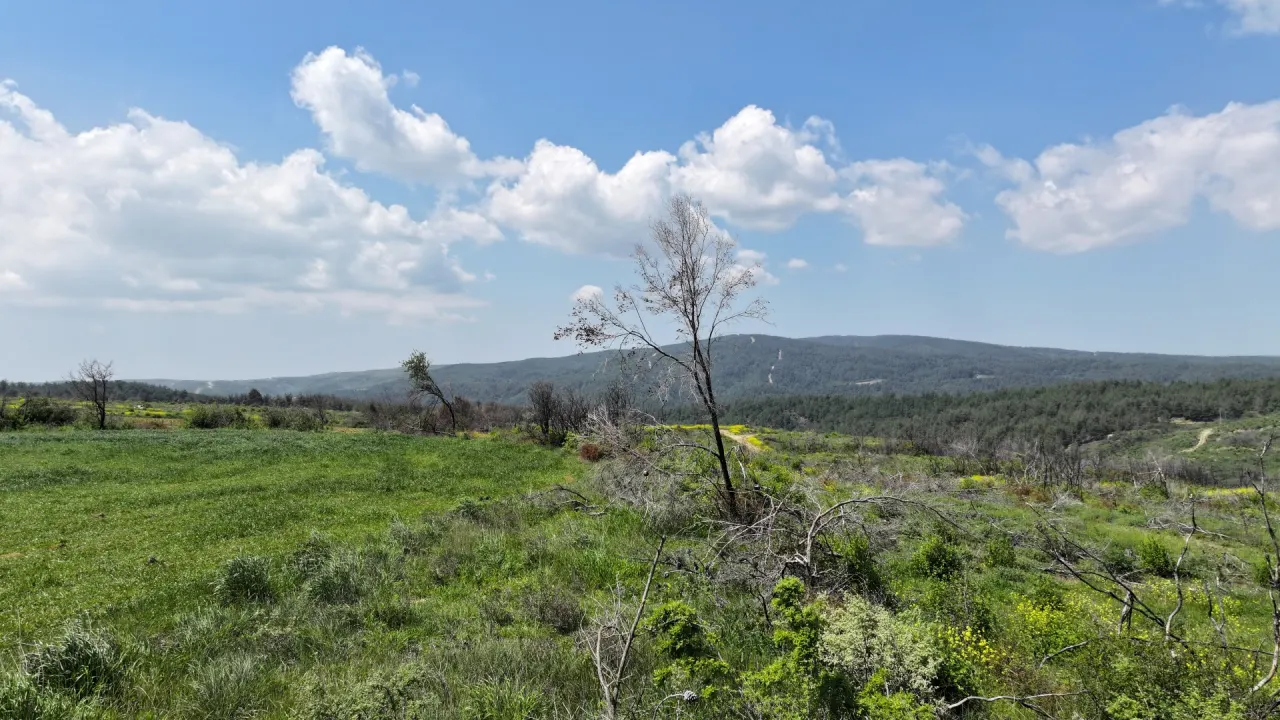 ÇANAKKALE GELİBOLU PAZARLI'DA DOĞA İLE İÇ İÇE 4,899m2 TARLA - görsel 6