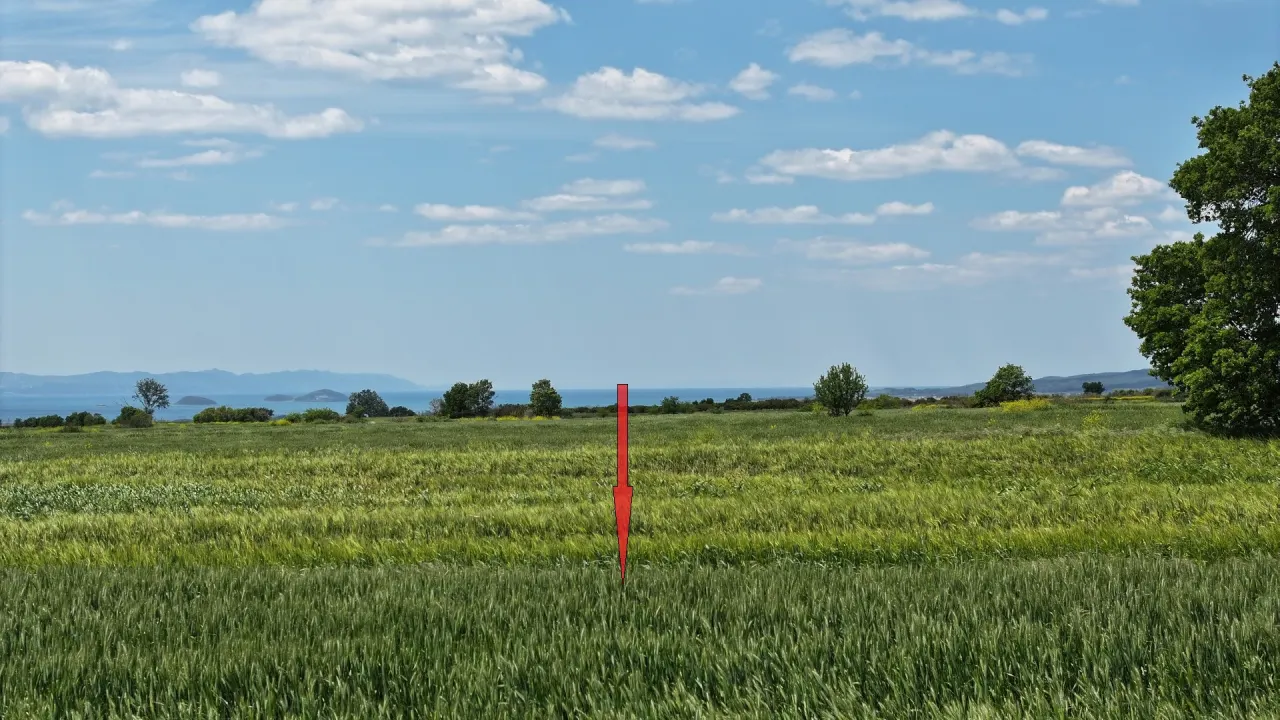 ÇANAKKALE GELİBOLU SÜLEYMANİYEDE MÜSTAKİL TAPULU 9,172m2 TARLA - görsel 19