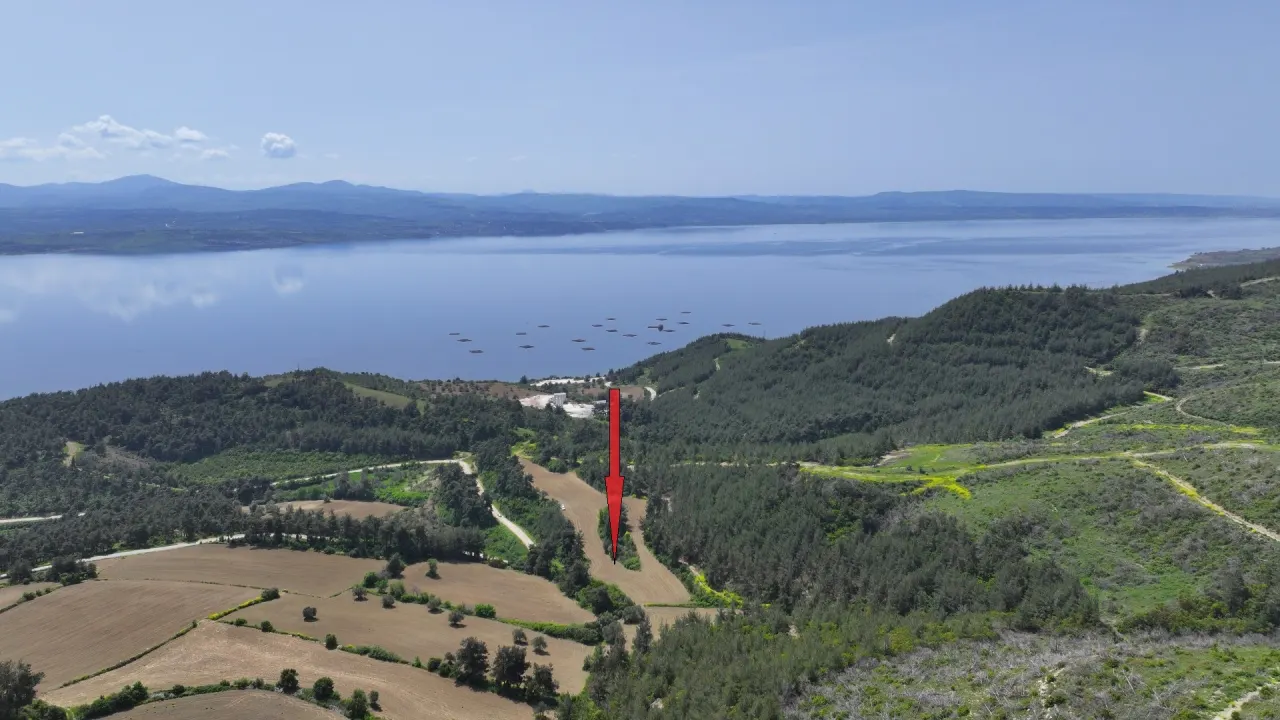 ÇANAKKALE GELİBOLU PAZARLIDA MÜSTAKİL TAPULU 6,517m2 TARLA - görsel 6