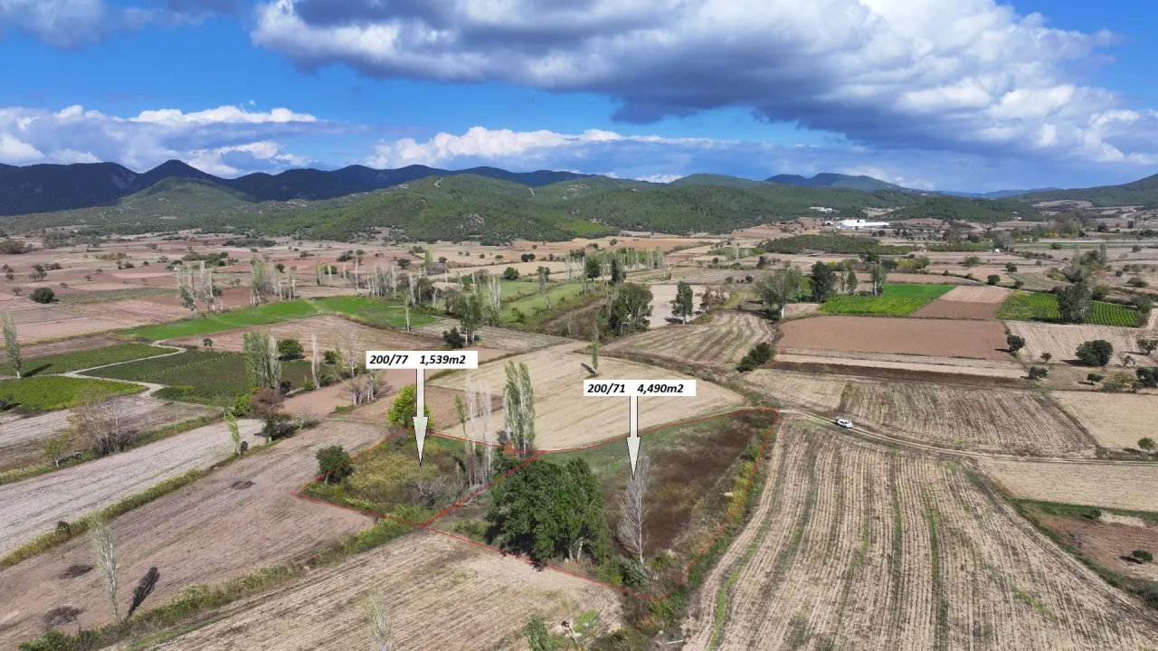 ÇANAKKALE GELİBOLU KARAİNEBEYLİ KÖYÜNDE 6,029m2 TARLA - görsel 14