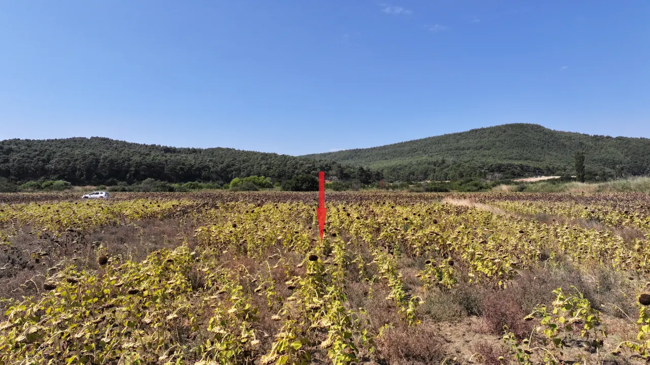 ÇANAKKALE ECEABAT YALOVA KÖYÜNDE 6.061 m² YATIRIMLIK TARLA - görsel 13