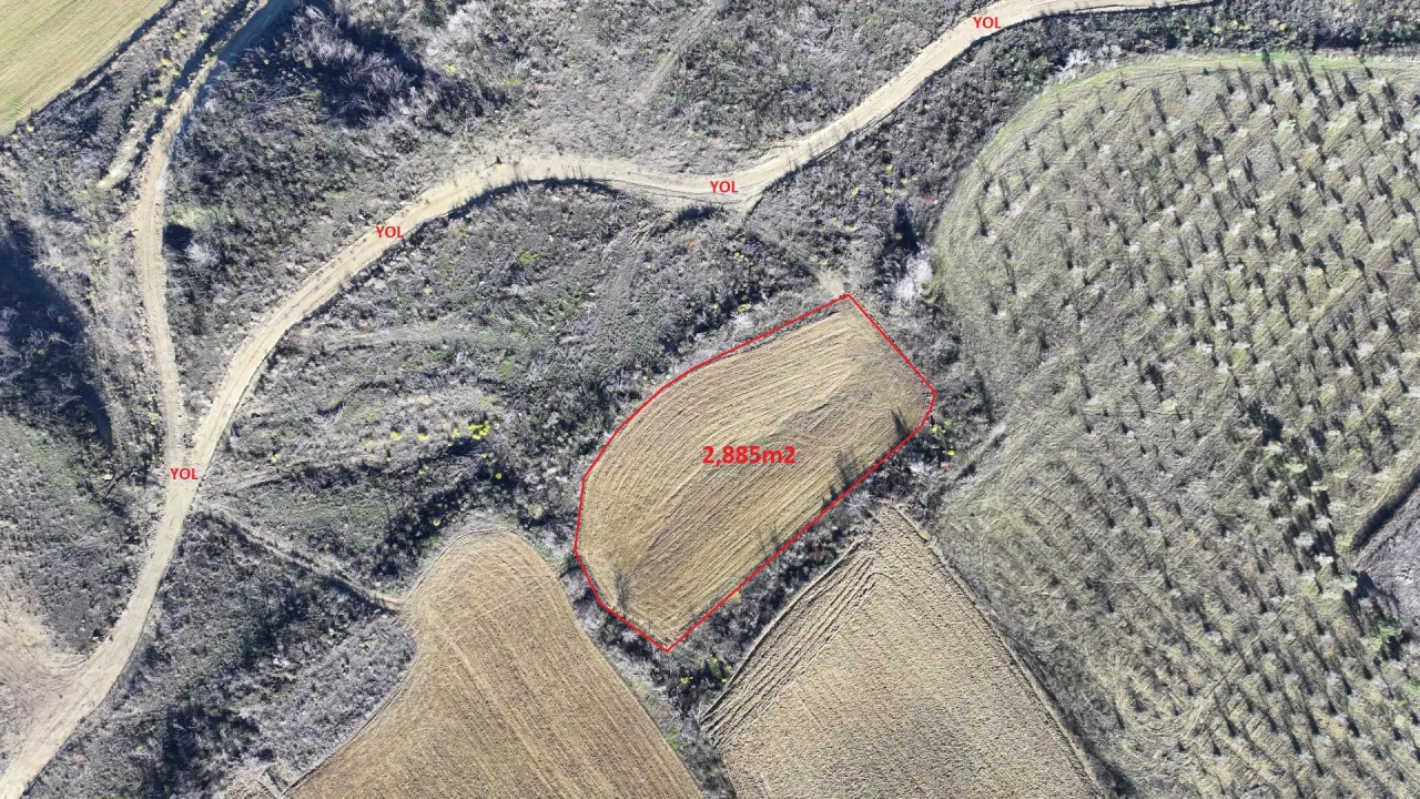ÇANAKKALE GELİBOLU PAZARLIDA 2,885m2 TARLA - görsel 7