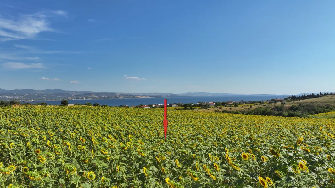ÇANAKKALE GELİBOLU SÜTLÜCE'DE DENİZ MANZARALI 9,908m2 TARLA - görsel 15