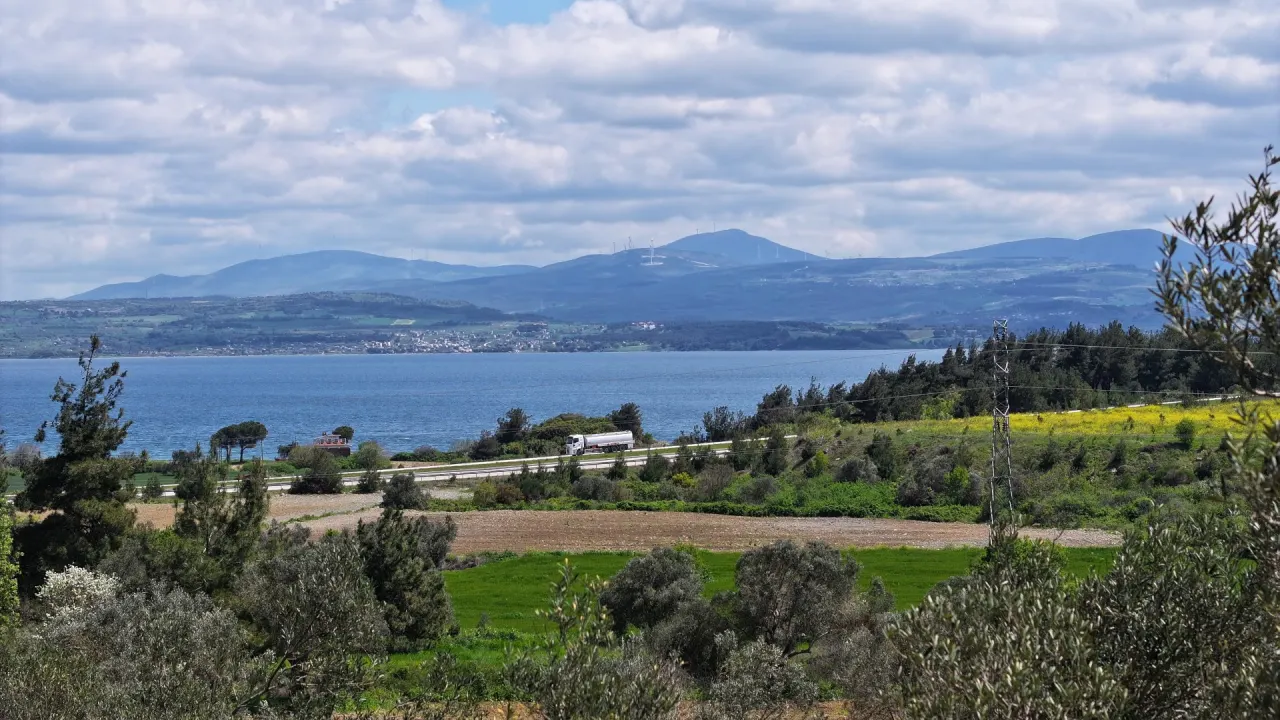 GELİBOLU ILGARDEREDE MÜSTAKİL TAPULU 4,205m2 ZEYTİNLİK - görsel 13