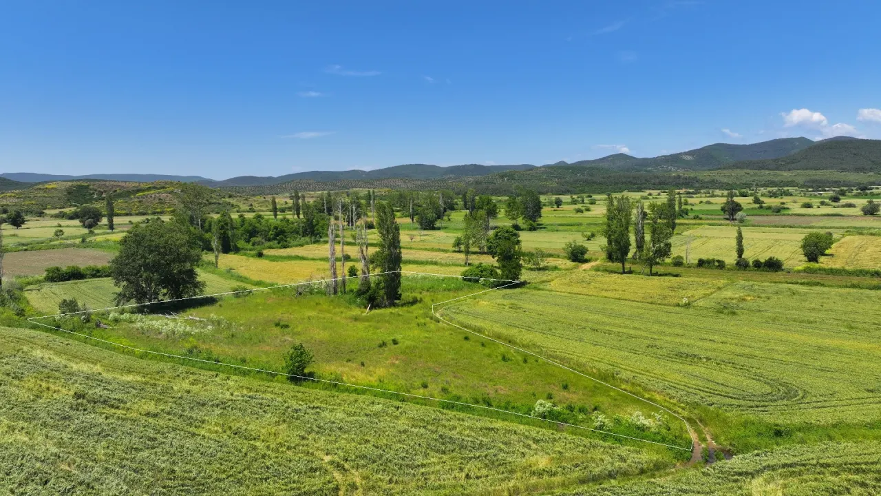 ÇANAKKALE GELİBOLU KARAİNEBEYLİ KÖYÜNDE 6,029m2 TARLA - görsel 6
