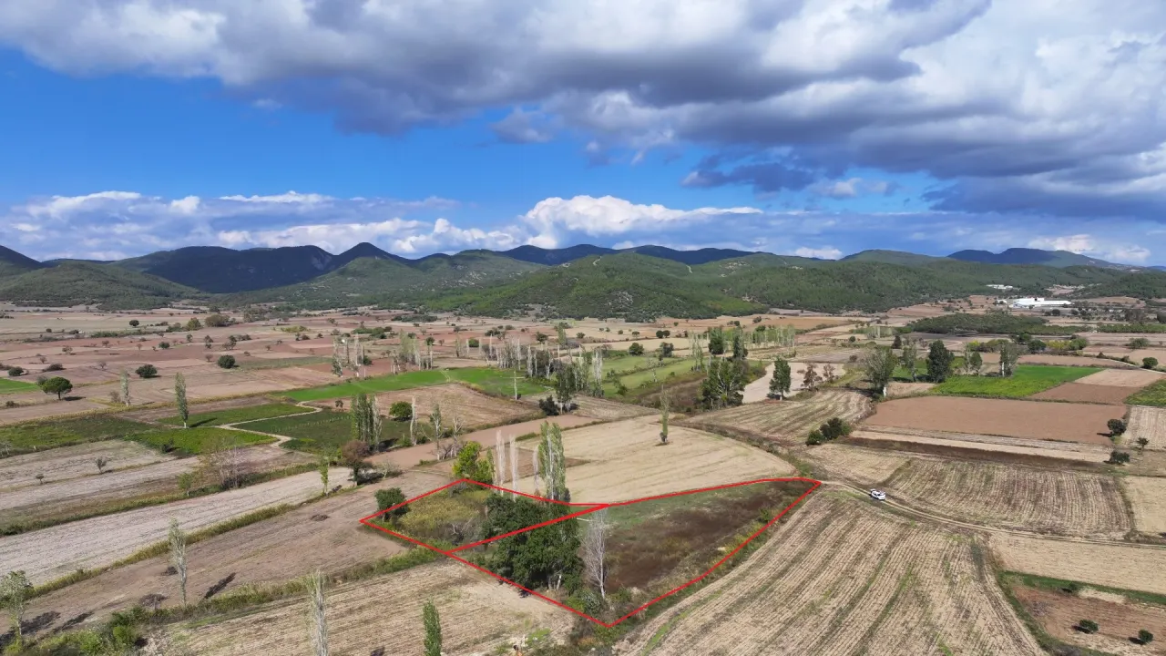 ÇANAKKALE GELİBOLU KARAİNEBEYLİ KÖYÜNDE 6,029m2 TARLA - görsel 20