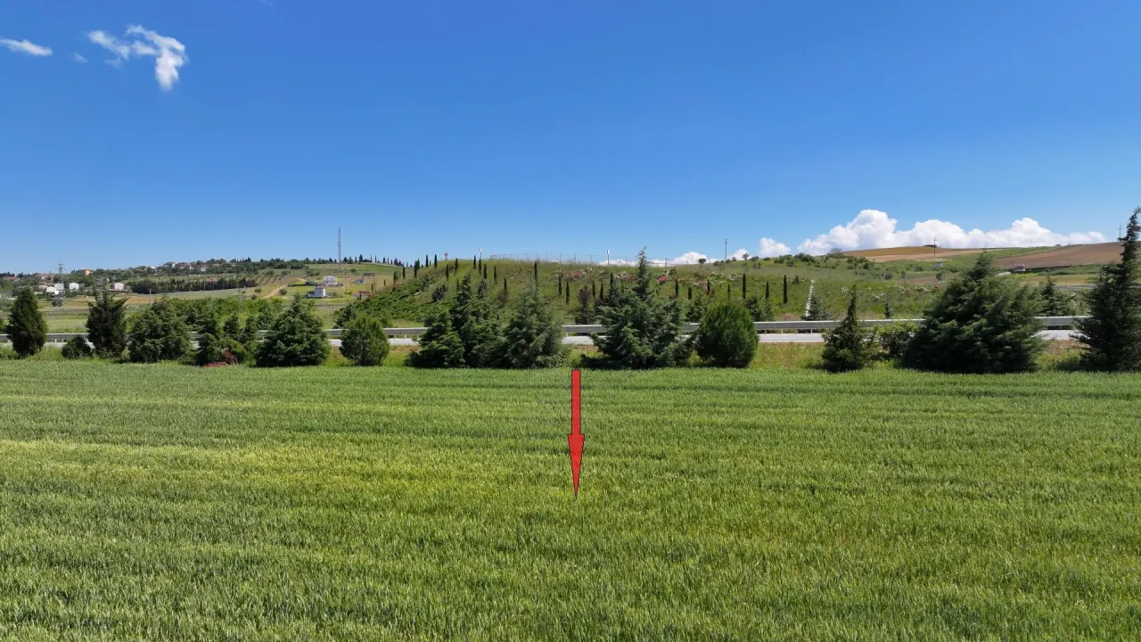 ÇANAKKALE GELİBOLU BOLAYIRDA ANAYOLA CEPHE 10,004m2 TARLA - görsel 18