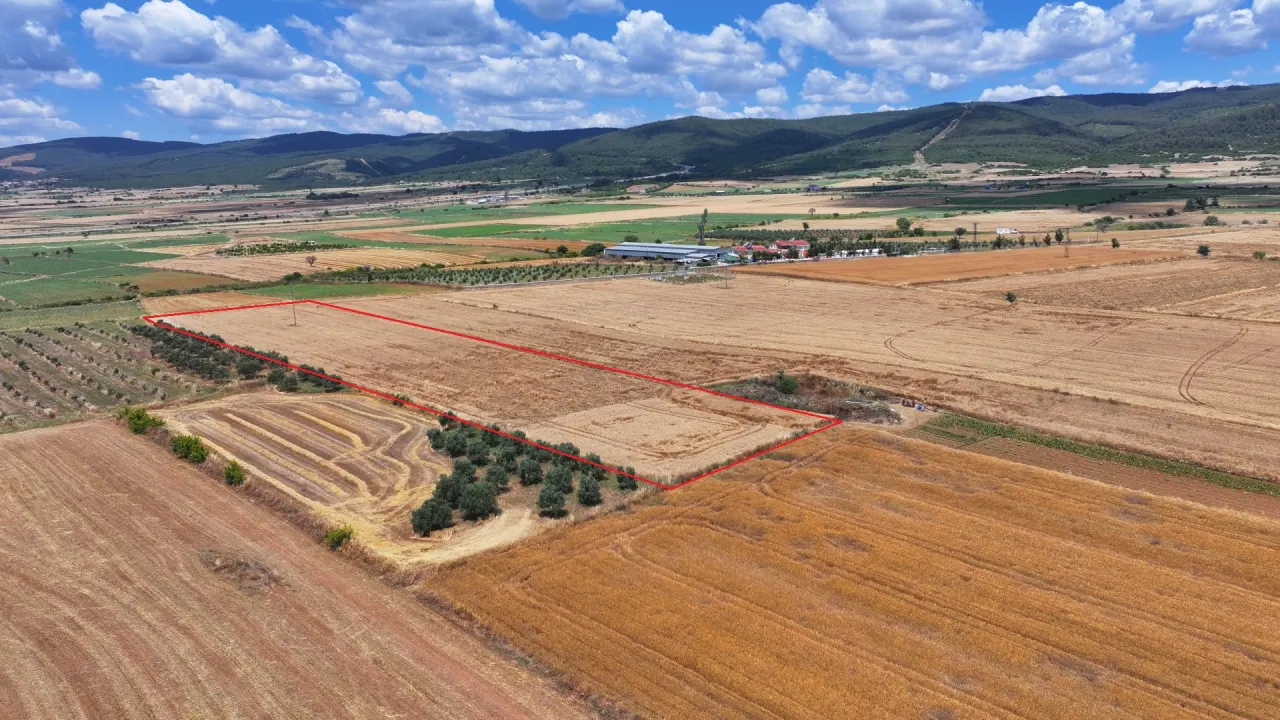 GELİBOLU KALEALTI KÖYÜNDE DENİZ MANZARALI 8,266m2 TARLA - görsel 5