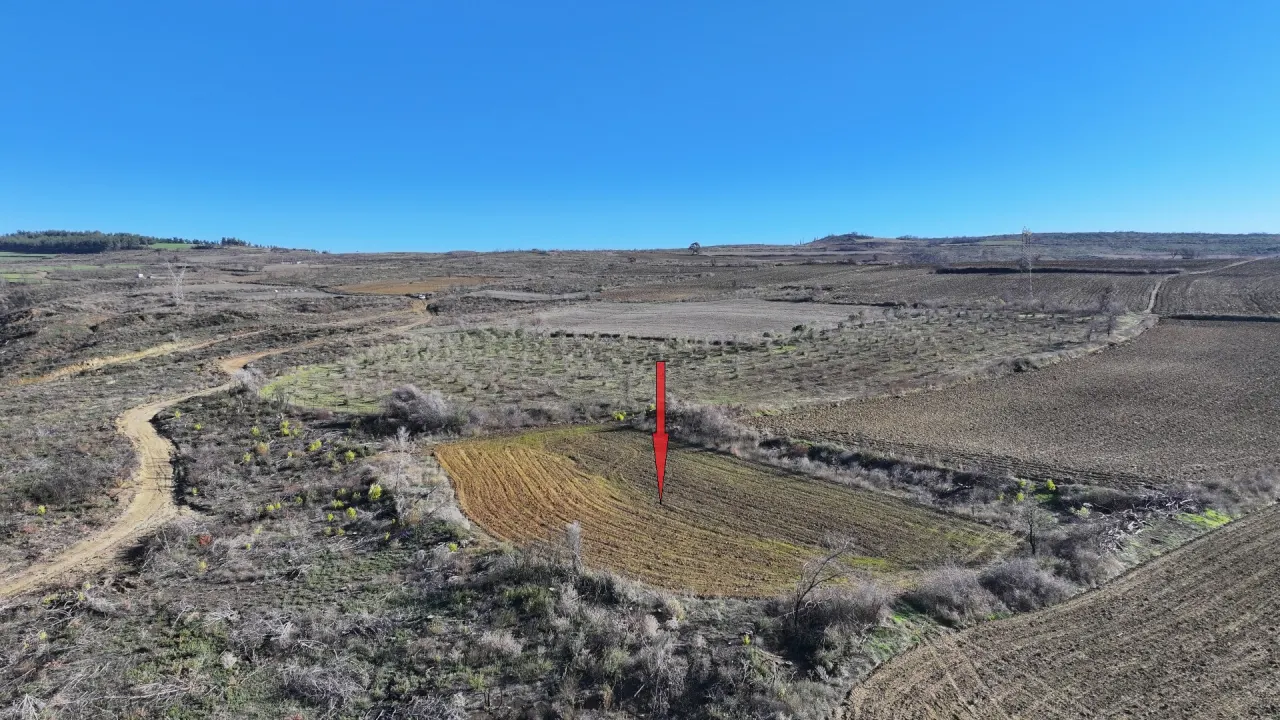ÇANAKKALE GELİBOLU PAZARLIDA 2,885m2 TARLA - görsel 11