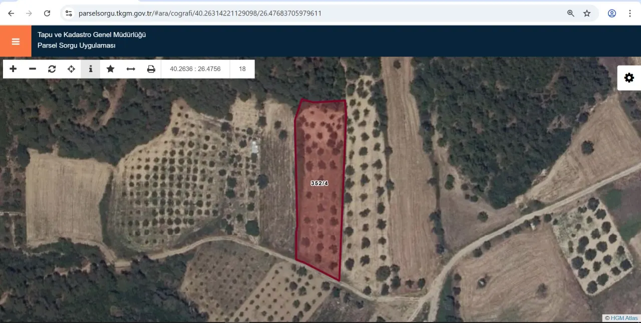 GELİBOLU ILGARDEREDE MÜSTAKİL TAPULU 4,205m2 ZEYTİNLİK - görsel 20