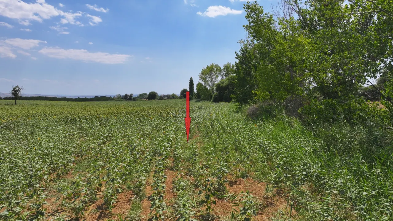 Çanakkale Gelibolu Şadıllı Köyünde Müstakil Tapulu 1,471m2 Tarla - görsel 8