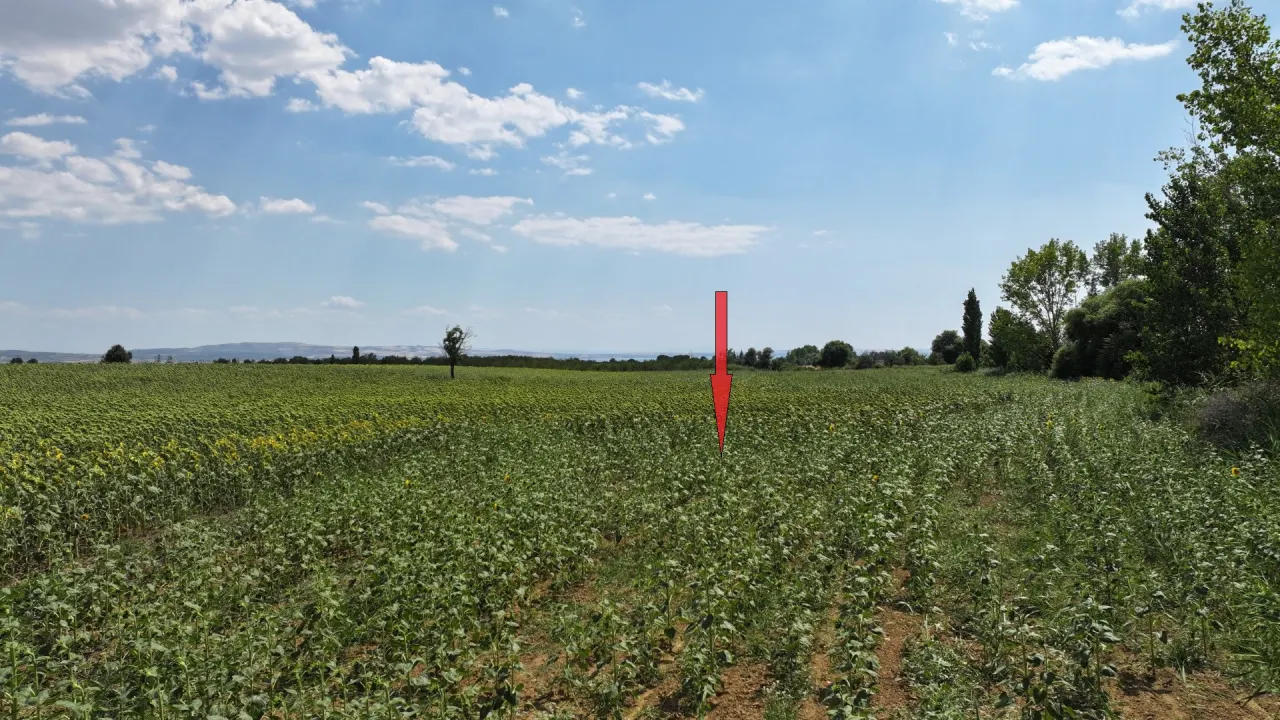 Çanakkale Gelibolu Şadıllı Köyünde Müstakil Tapulu 1,471m2 Tarla - görsel 9