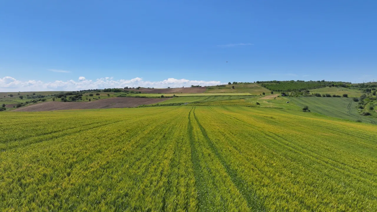 ÇANAKKALE GELİBOLU OCAKLIDA 502m2 MÜSTAKİL TAPULU ARSA - görsel 8