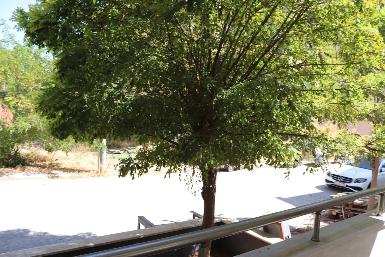 YAZICIZADE MAHALLESİ HAMZAKOYDA  SATILIK 2+1 DAİRE - görsel 25