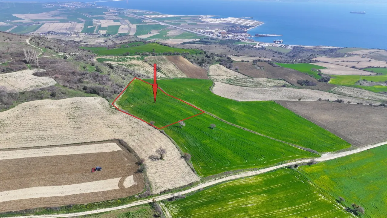 GELİBOLU BURHANLIDA BOĞAZ VE DENİZ MANZARALI 10,577m2 TARLA - görsel 14