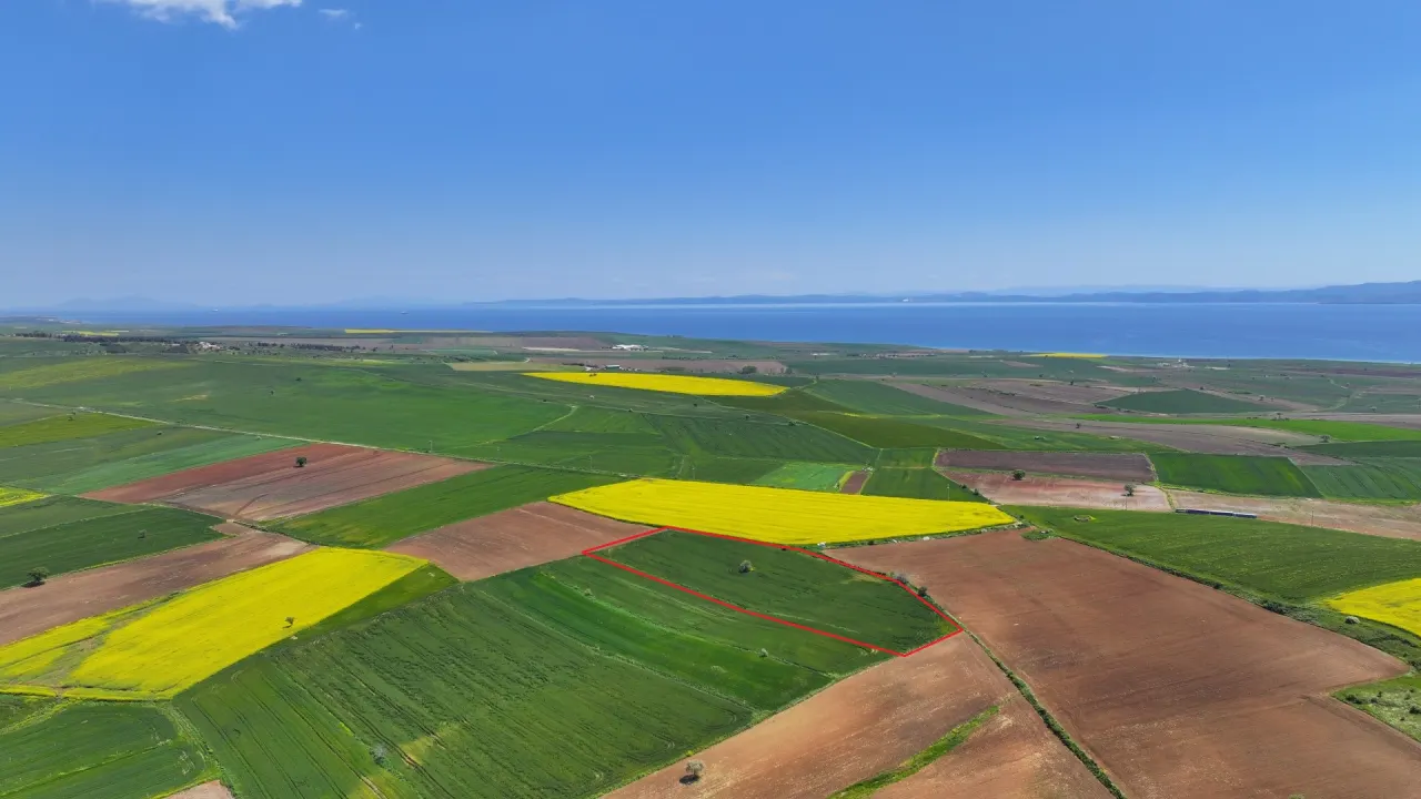 ÇANAKKALE GELİBOLU DEMİRTEPE'DE 14,223m2 MÜSTAKİL TAPULU TARLA - görsel 9