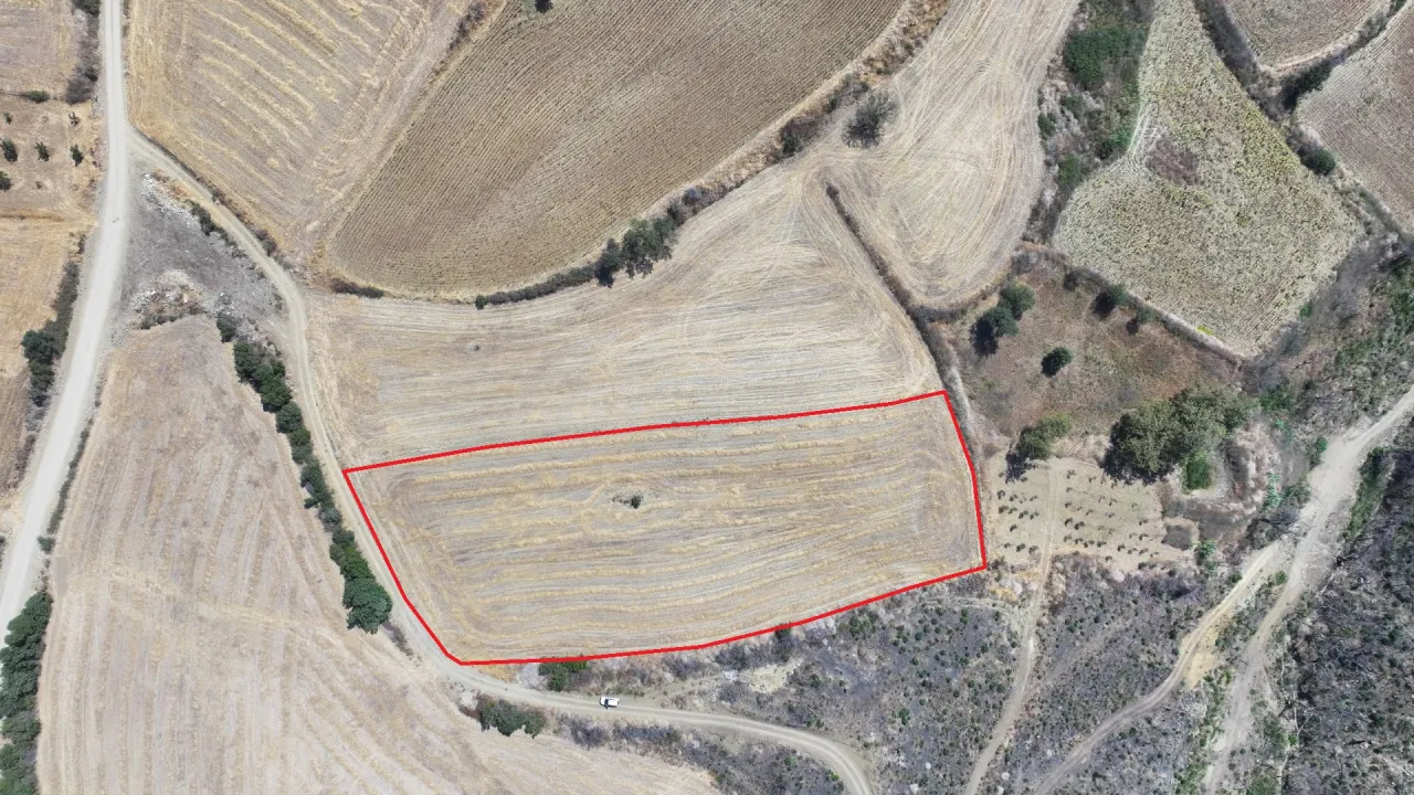 ÇANAKKALE GELİBOLU PAZARLIDA MÜSTAKİL TAPULU 6,493m2 TARLA - görsel 5