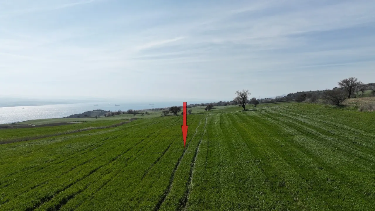 GELİBOLU BURHANLIDA BOĞAZ VE DENİZ MANZARALI 10,577m2 TARLA - görsel 10
