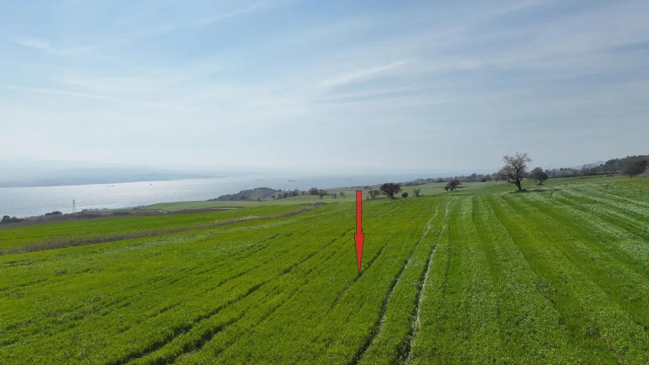 GELİBOLU BURHANLIDA BOĞAZ VE DENİZ MANZARALI 10,577m2 TARLA - görsel 9