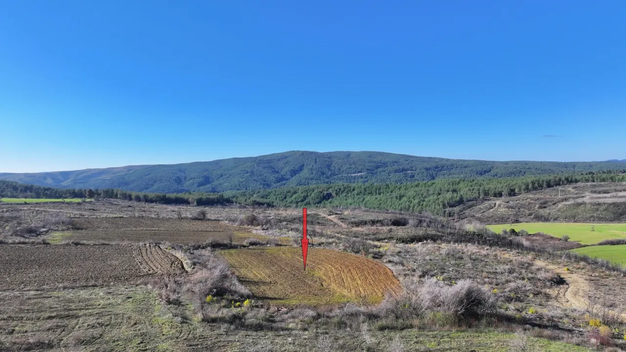ÇANAKKALE GELİBOLU PAZARLIDA 2,885m2 TARLA - görsel 13