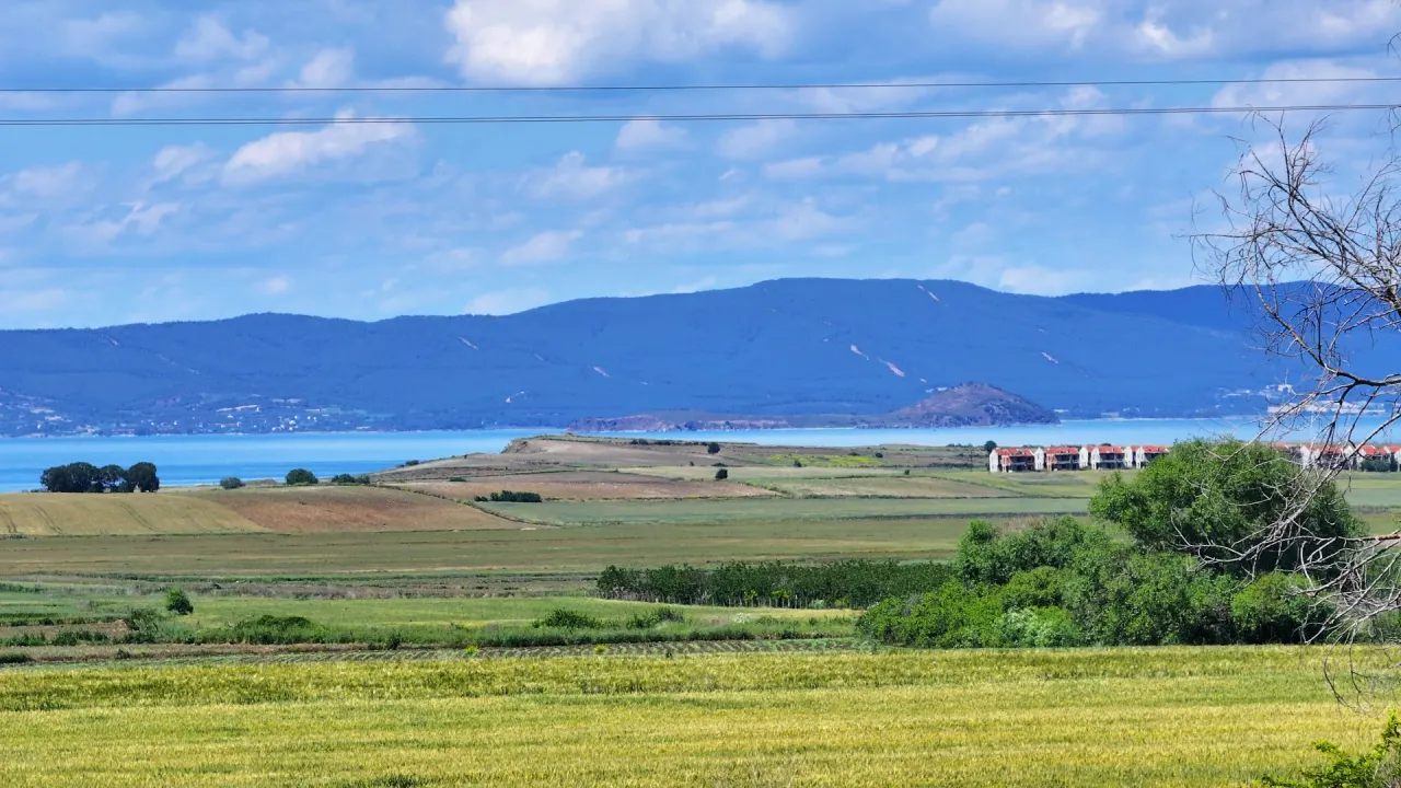 ÇANAKKALE GELİBOLU BOLAYIRDA ANAYOLA CEPHE 10,004m2 TARLA - görsel 15
