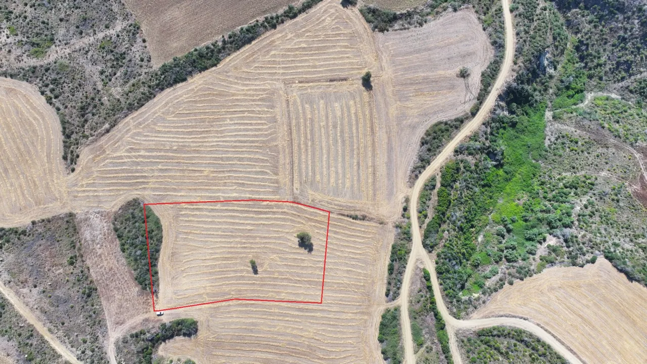 ÇANAKKALE GELİBOLU PAZARLI'DA MÜSTAKİL TAPULU 6,964m2 TARLA - görsel 5