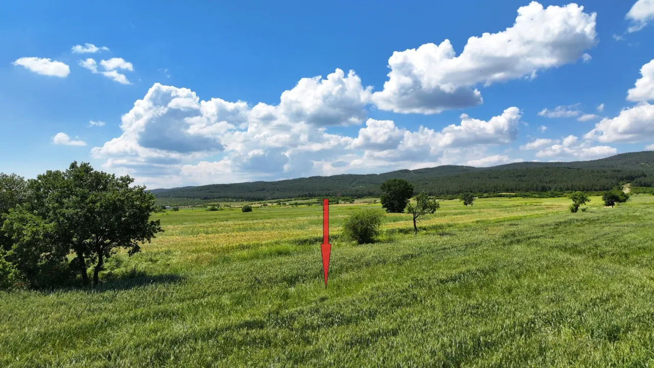 ÇANAKKALE GELİBOLU SÜLEYMANİYEDE MÜSTAKİL TAPULU 9,172m2 TARLA - görsel 8