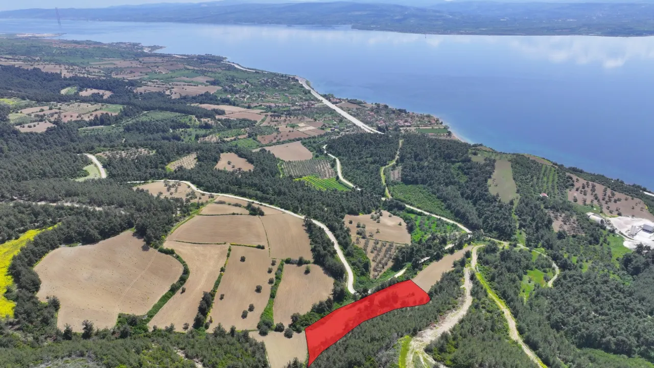 ÇANAKKALE GELİBOLU PAZARLIDA MÜSTAKİL TAPULU 6,517m2 TARLA - görsel 2