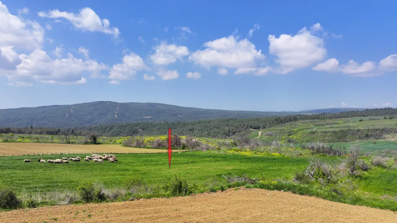 ÇANAKKALE GELİBOLU PAZARLI'DA DOĞA İLE İÇ İÇE 4,899m2 TARLA - görsel 13
