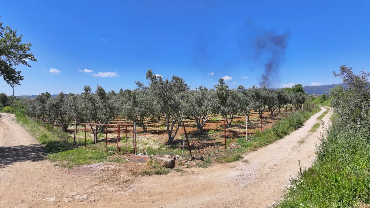 ÇANAKKALE GELİBOLU EVREŞEDE 2,674m2 SANAYİ İMARLI ZEYTİNLİK - görsel 10