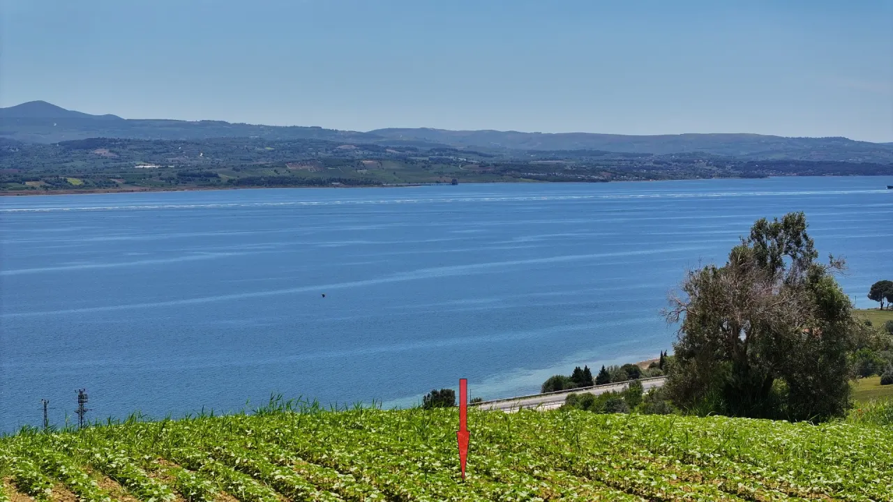 ÇANAKKALE GELİBOLU BURHANLI'DA BOĞAZ MANZARALI 8,062m2 TARLA - görsel 14