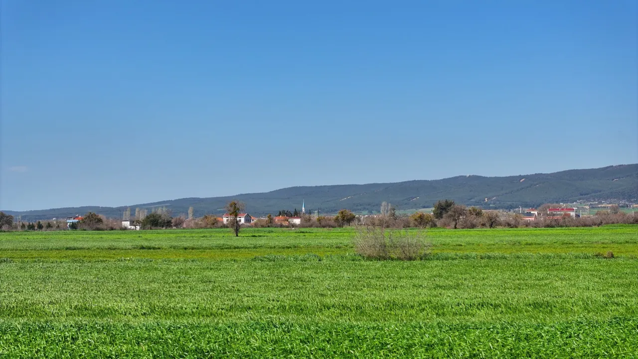 ÇANAKKALE GELİBOLU KOCAÇEŞME'DE 13,374m2 DENİZ MANZARALI TARLA - görsel 18